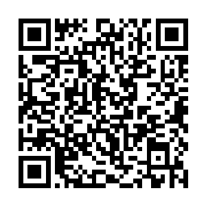 刚才从杨眉办公室走出去的又是位难得一见有大美女二维码生成