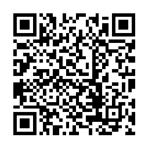 刚才他可是亲眼见证江帆破解了虚菁肖像上的秘密二维码生成