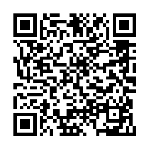 刚才他和大章鱼之间的对话都是通过意念完成的二维码生成