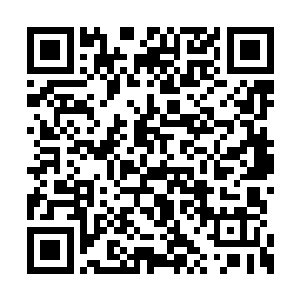 刚才他回去就是为了去追那个一直在帮他的妖兽二维码生成