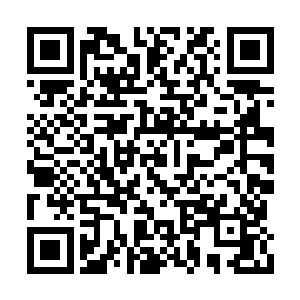 刚才他掩饰着的情感此时却是完全地暴露出来了二维码生成