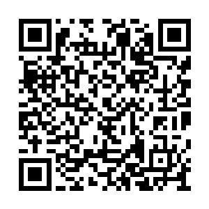 刚才你用焱火灼烧的就是他突破蜕变形成的杂质二维码生成