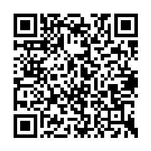 刚才你用的那几招龙形搏击都是极耗真气的招式二维码生成