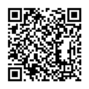 刚才傀儡王的确发动了一次自杀式的神魂自爆攻击二维码生成