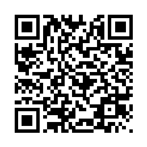 刚才傻蛋站在石头上就启动了符阵二维码生成