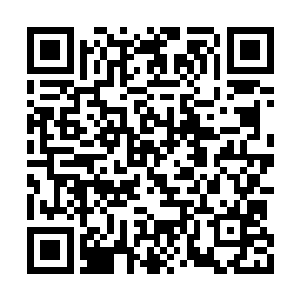 刚才冲张小鹏发了一下火之后就没再往那边看了二维码生成