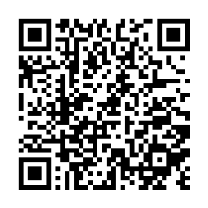 刚才几段记忆则落叶一样压入深海……再翻不起浪花二维码生成