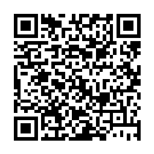 刚才出现的胖子拎了三个打包的大方便袋从后厨出来了二维码生成