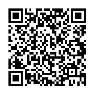 刚才击败自己的那个巨灵兽应该是它们部族中的长者二维码生成