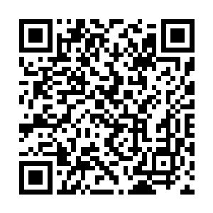 刚才北冥玉意识到自己差点暴漏了北冥世家的实力二维码生成