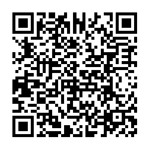 刚才去解决那头变异爆炎巨兽的男人就是对李月茹微笑点头的两个男子二维码生成