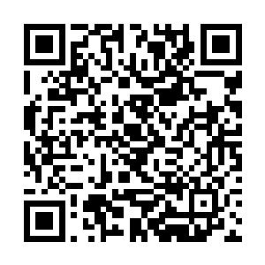 刚才叶尊的话可是在不知不觉中给了所有人一丝希望二维码生成