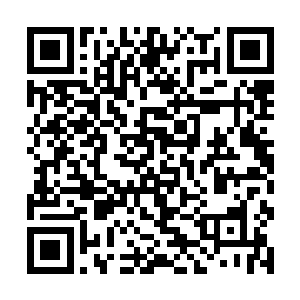 刚才听到陈长生提议时的荒唐感受已经被冲淡了很多二维码生成