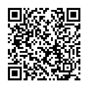 刚才在两名紫府境巅峰统领围攻下几次险些被击杀二维码生成