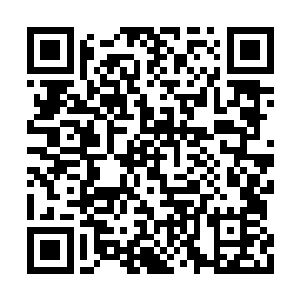 刚才在房间里对雅文嘘寒问暖的人应该就是我了二维码生成