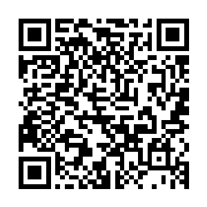 刚才在混战中就已经损失了不少血量的皮野绫和淘宝拳瞬间躺地二维码生成
