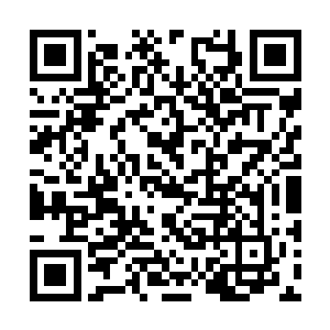 刚才在车上的时候他们问我有没有准备拿这个大赏二维码生成