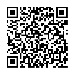 刚才在陶府那不愉快的纠缠也显得无足轻重起来二维码生成