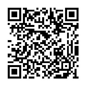 刚才她们还自恋的以为这群粉丝是来找她们的呢二维码生成