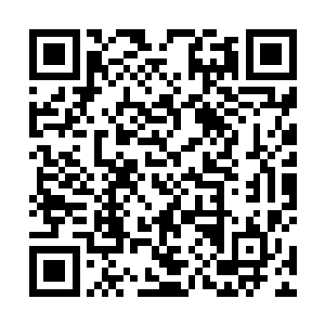 刚才她可是看到豆豆那丫头偷偷的看了几次吴大保镖哦二维码生成