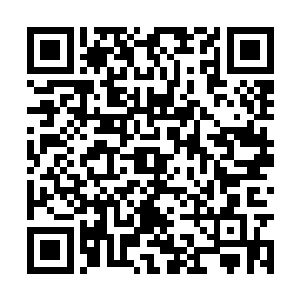 刚才她居然用它来割羔羊肉……竟然还送给她们吃二维码生成