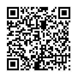 刚才她感觉自己被扎了一下之后手臂就失去了知觉二维码生成