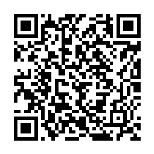 刚才威尔伯爵故意当众把金永健和马扎卜打得鬼哭狼嚎二维码生成