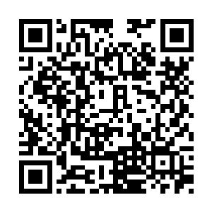 刚才小柯已经将上面的符文信息全部临摹下来了二维码生成