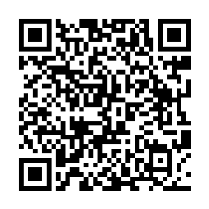 刚才张敏已经被这个源魔殿的少主烦得实在是受不了二维码生成