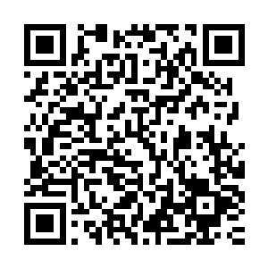 刚才张璐涵让你和小秋屁啊连吻戏的时候你为什么突然跑出去呢二维码生成