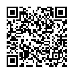 刚才我不是看到你把你院子里的下人都变消失了吗二维码生成