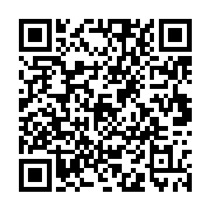 刚才我们看到的那个方圆数百里的岛屿我觉得正好二维码生成