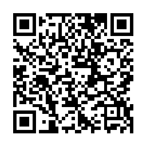 刚才我和在珉xi在楼梯上遇到在石oppa和世燕前辈了二维码生成