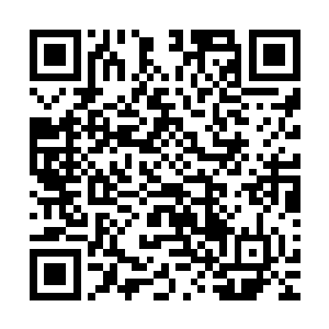 刚才我用我的灵力包裹在你身上所以咱俩就被传到一个地方了二维码生成