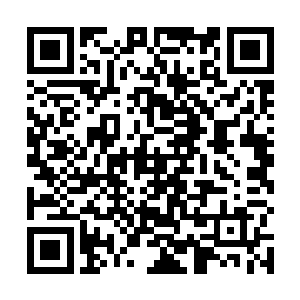 刚才我进房间给小秋送粥的时候不小心烫到唐宇的手了二维码生成