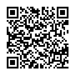 刚才拉走那块石头的存在绝对能够轻易的将其给击杀了二维码生成