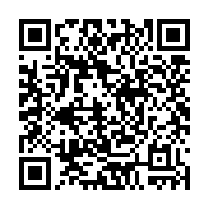 刚才接连几道劫雷让小金的身体受到了不轻的损伤二维码生成