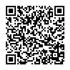 刚才摇头的那个侍卫似乎因为刚才的无意识的配合而有些恼羞成怒二维码生成