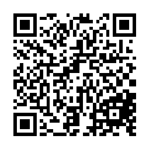 刚才攻击梓箐的是主船上的海盗头子和几个小头目二维码生成