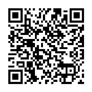 刚才林军毫不犹豫地放弃青蛇铁熊可是知道的一清二楚二维码生成