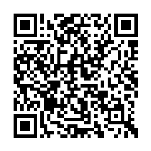 刚才正是慕以柔以她全部的功力发起了绝杀一击二维码生成