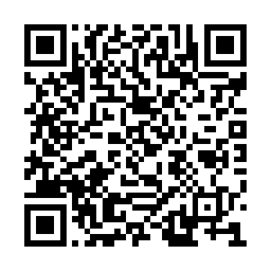 刚才的攻击似乎是被这血光之墙全部阻拦了下来二维码生成