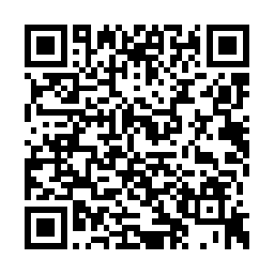 刚才的时候也是将注意力都集中到了杨风的身上二维码生成