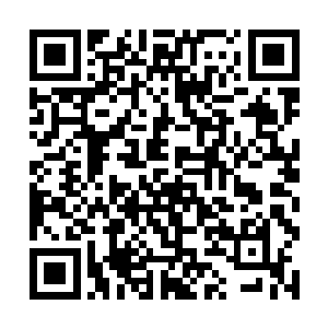 刚才的时候杨戬只是激活了梦幻天罗羽衣的梦幻领域二维码生成