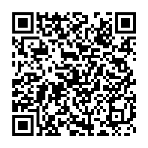 刚才的笑声就是从这些成员当中一个染黄了头发的板寸头身上发出来的二维码生成