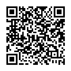 刚才的那些材料可是至少能够炼制出三四套以上的护甲二维码生成