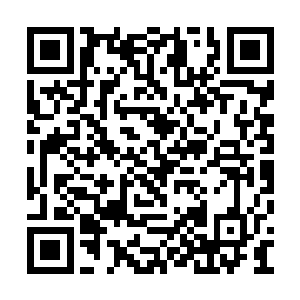 刚才盘旋的时候也没有发现任何生物存在的迹象二维码生成