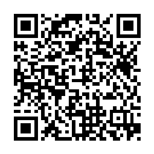 刚才看你的表演――尤其是你走向汤姆的那一段二维码生成