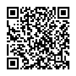 刚才看到张铁一剑斩飞已经幻化出法相的星皇神殿神将的脑袋二维码生成