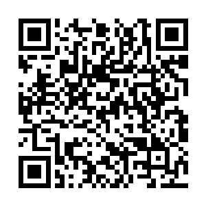 刚才结束的时候我听外面好多人在喊白奇雪的名字二维码生成